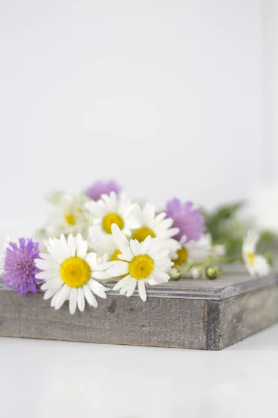 Gänseblümchen Und Andere Blumen Auf Einem Weißen Tisch — Stockfoto
