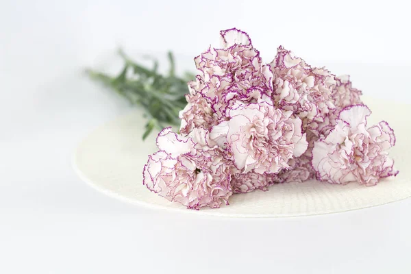 White angel on desk. Beautiful pink flowers on white desk.