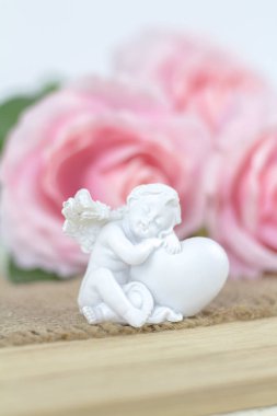 Beyaz arkaplanda pembe güller