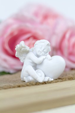 Beyaz arkaplanda pembe güller