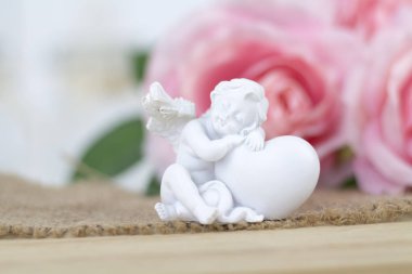 Beyaz arkaplanda pembe güller