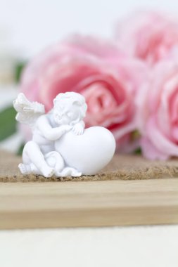 Beyaz arkaplanda pembe güller