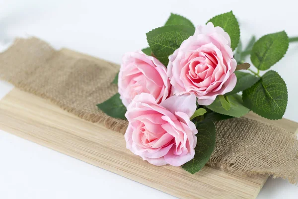 Rosas Rosadas Sobre Fondo Blanco —  Fotos de Stock