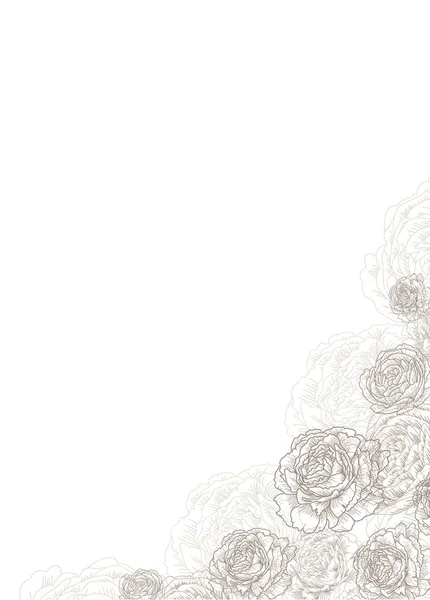 Διακοσμητικό γωνιακό πλαίσιο με λουλούδια, τριαντάφυλλα, παιώνιες. Κομψό και κομψό πρότυπο για κείμενο. Σχεδίαση διανυσματικών απεικονίζοντας. — Διανυσματικό Αρχείο