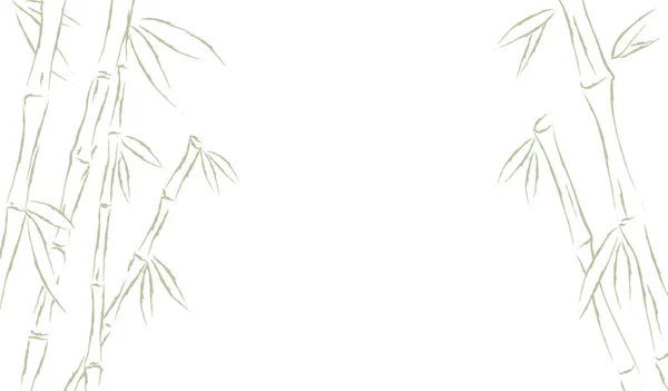 竹やサトウキサキの森のフレームの背景。ベクトルイラスト描画 — ストックベクタ