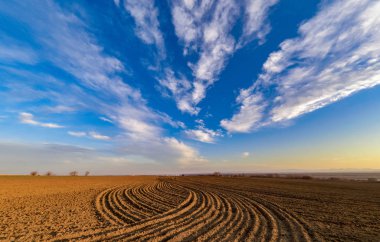Lines in the field. Blue sky with clouds clipart