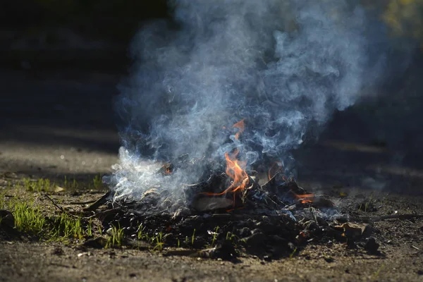 Small Fire Asphalt Lighting Bonfires — Stock Photo, Image