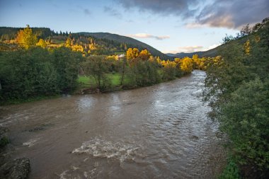 Stormy mountain river with autumn trees in the background. clipart