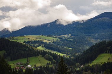 Şafakta sis Nehri yakınında ağaçlar üzerinde yayılır.
