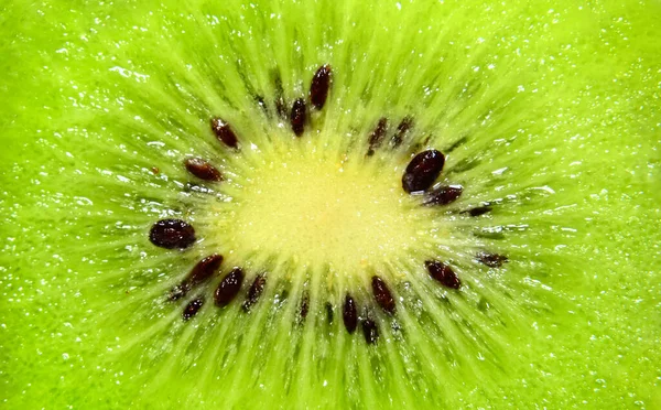 Fresh juicy fruit slice closeup. Slice of kiwi fruit on a full frame