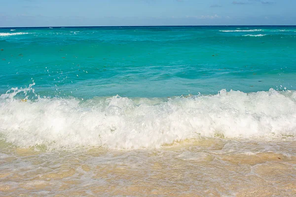 Karayip Denizi Cancun, Meksika