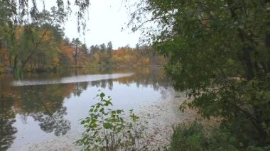 Şehir parklarında altın sonbahar