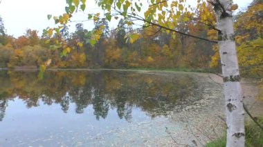 Şehir parklarında altın sonbahar