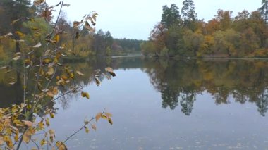 Şehir parklarında altın sonbahar