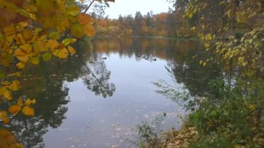 Şehir parklarında altın sonbahar