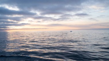 Grönland yolunda Kuzey Buz Denizi Günbatımı