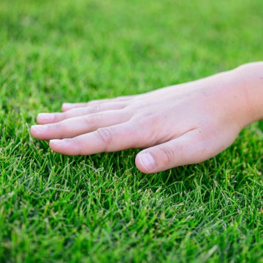 Güzel yeşil çimenler. Çocuğun eli çimenlere değiyor. Doğaya geri dön, sevgi toprağı. Çevre kavramı.