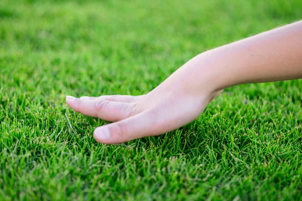 Belle herbe verte. La main de l'enfant touche l'herbe. Revenons à la nature, aimons la terre. Concept d'environnement . — Photo