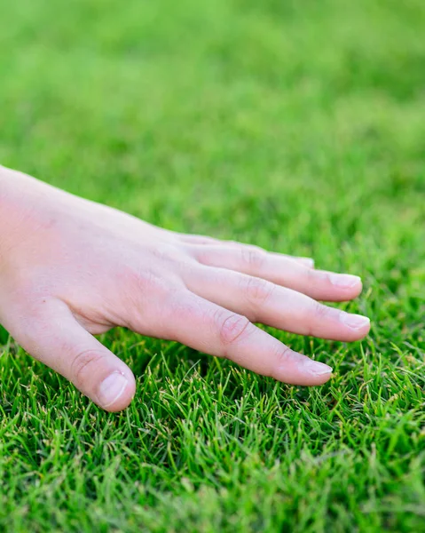 Schönes grünes Gras. Die Hand des Kindes berührt das Gras. Zurück zur Natur, liebe Erde. Umweltkonzept. — Stockfoto