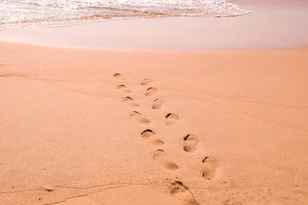 Human footprints leading away from the viewer into the sea. Footprints on wet sand on the beach. Empty beach, tourism concept, travelling.