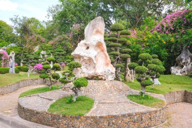 Bahçedeki güzel Bonsai ağacı. Japon bahçesi ya da parkı. Yazın doğa. Yeşil arka plan. Boşluk afişini kopyala.