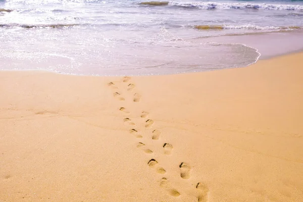 Людські Сліди Ведуть Від Глядача Море Сліди Вологому Піску Пляжі — стокове фото