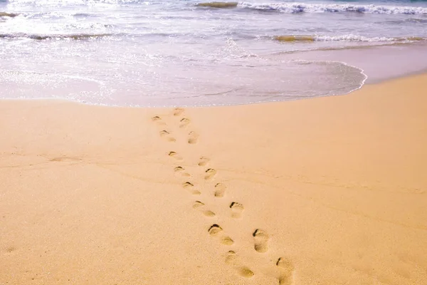 Human footprints leading away from the viewer into the sea. Footprints on wet sand on the beach. Empty beach, tourism concept, travelling.