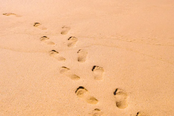 Human footprints leading away from the viewer into the sea. Footprints on wet sand on the beach. Empty beach, tourism concept, travelling.