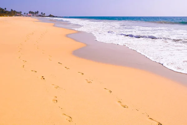 Human footprints leading away from the viewer into the sea. Footprints on wet sand on the beach. Empty beach, tourism concept, travelling.