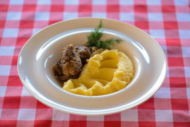 Kırmızı ekose masa örtüsünün üzerinde beyaz tabakta servis edilen patates püresi ve soslu kızarmış balık. İtalyan mutfağı, İtalyan konsepti. Lezzetli yemek..