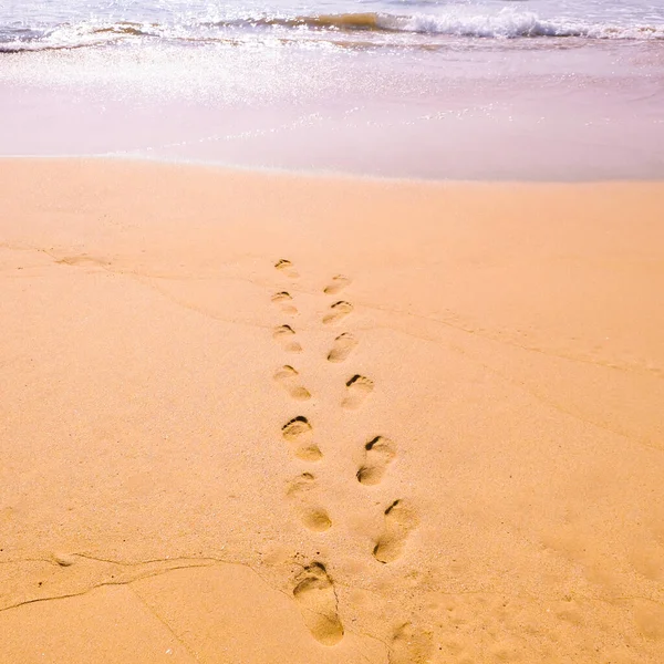 Human footprints leading away from the viewer into the sea. Footprints on wet sand on the beach. Empty beach, tourism concept, travelling.