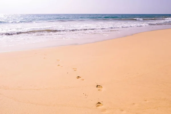 Human footprints leading away from the viewer into the sea. Footprints on wet sand on the beach. Empty beach, tourism concept, travelling.