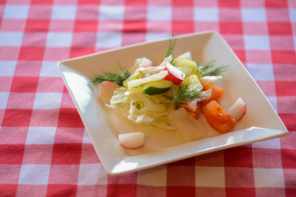 Salada Dietética Com Legumes Rabanete Tomate Molho Cozinha Italiana Tradicional — Fotografia de Stock