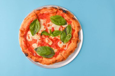 Mozzarella peynirli pizza ve fesleğen yapraklı taze domates. Geleneksel İtalyan mutfağı kavramı, fast food kavramı. Pastel mavi arka planda izole edilmiş lezzetli pizza..