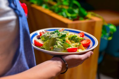 Bir kase Sezar Salatası. Restorandaki garson elinde bir tabak İtalyan sezar salatası tutuyor. Geleneksel İtalyan mutfağı. Bir tabakla ellerinizi kapatın..