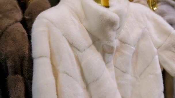 Close Woman Choosing Luxury Mink Fur Winter Coat Winter Sale — Stock Video