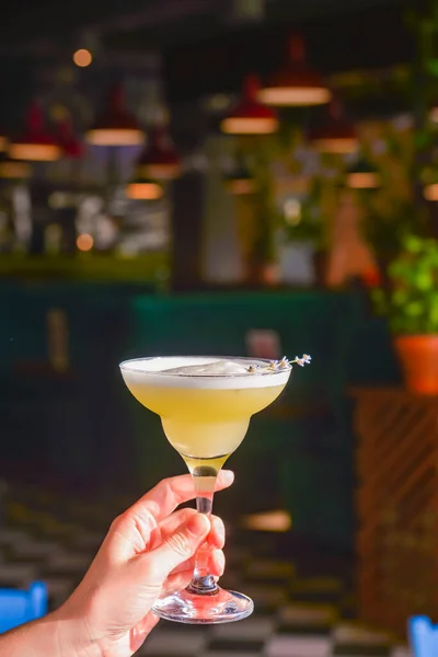 Sommarcocktail Ett Martini Glas Med Färsk Lavendelblomma Lavander Alkoholhaltig Dryck — Stockfoto