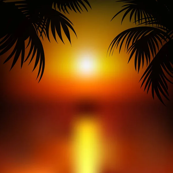 Abstraktní tropic pozadí s červenými západ slunce a palmové listy. Vektor. — Stockový vektor