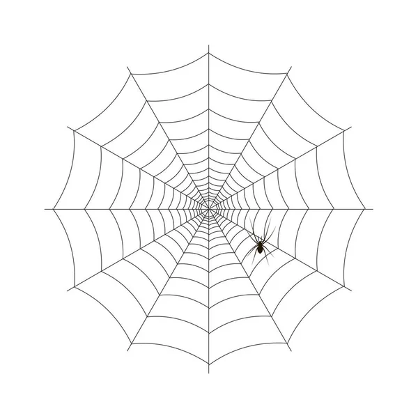 Araña y telaraña para Halloween. vector . — Vector de stock