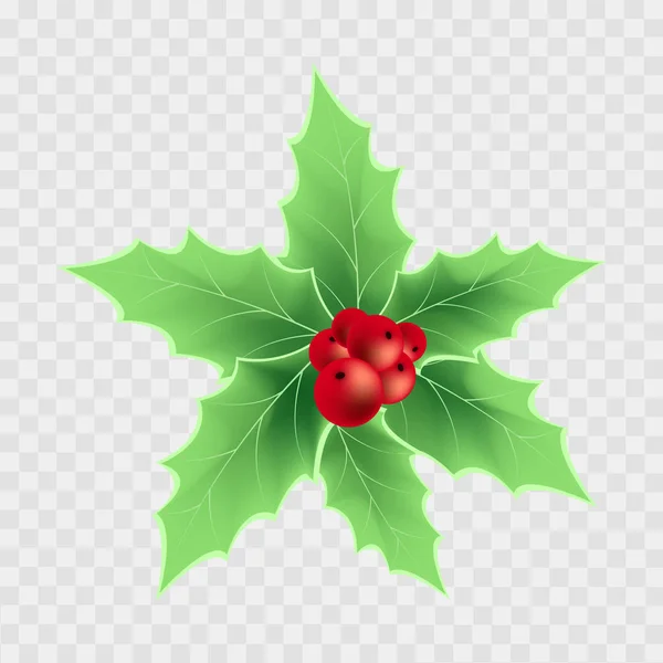 Realistische kerst berry op transparante achtergrond. Vector. — Stockvector