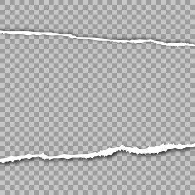 Kare yatay gri kağıt şeritler metin veya ileti için sökük. Vektör