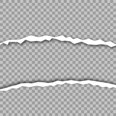 Kare yatay gri kağıt şeritler metin veya ileti için sökük. Vektör