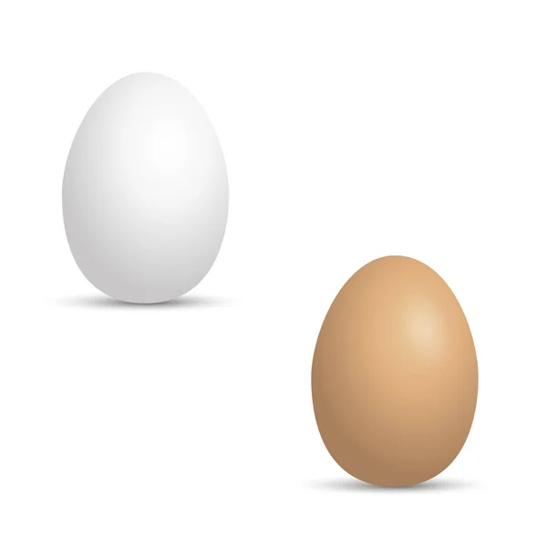 Huevos blancos y marrones realistas sobre blanco. Vector — Archivo Imágenes Vectoriales