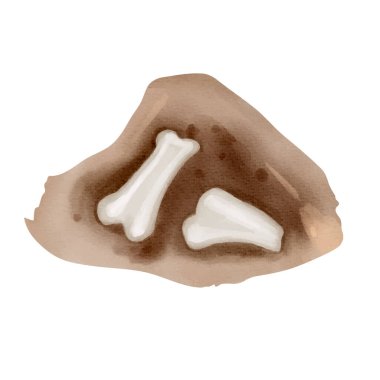 Keşfedilen kemiklerin suluboya çizimi. Eski iskelet kalıntıları yumuşak tonlarda boyanmış. Bilim temaları için mükemmel.