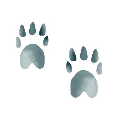 Hayvan izlerinin suluboya çizimi. Yumuşak tonlarda boyanmış şirin pençe izleri. Doğa ve çocuk temaları için mükemmel.