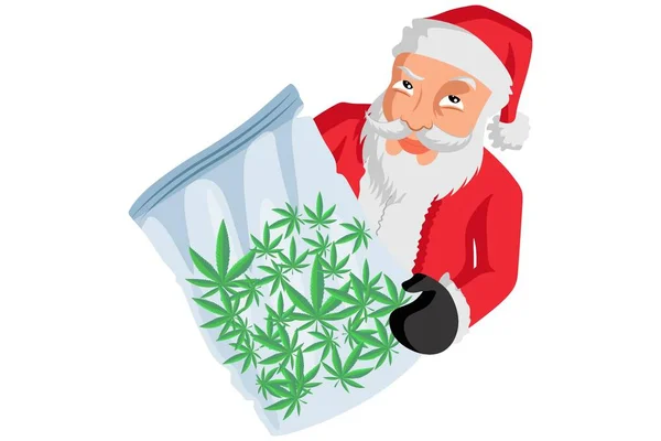 Santa Claus Yang Manis Dengan Sebungkus Daun Ganja Vector Illustration - Stok Vektor