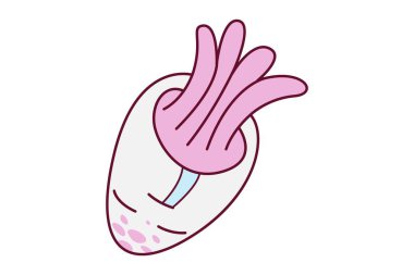 Vektör karikatür çizimi. Ahtapot hayal kırıklığına uğradı. Beyaz arkaplanda izole.