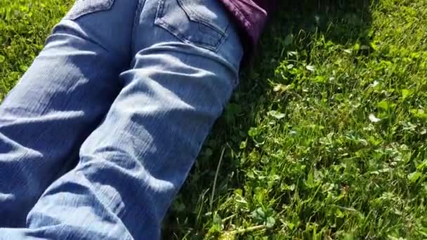 Жінка-фотограф використовує камеру DSLR на траві — стокове відео