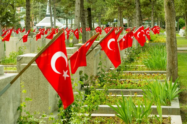 Visnelik Air Force Martyrs Cemetery Turkish Flags Eskisehir — Stock Photo, Image