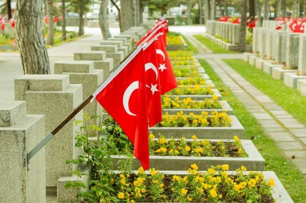Cementerio Mártires Fuerza Aérea Visnelik Con Banderas Turcas Eskisehir —  Fotos de Stock